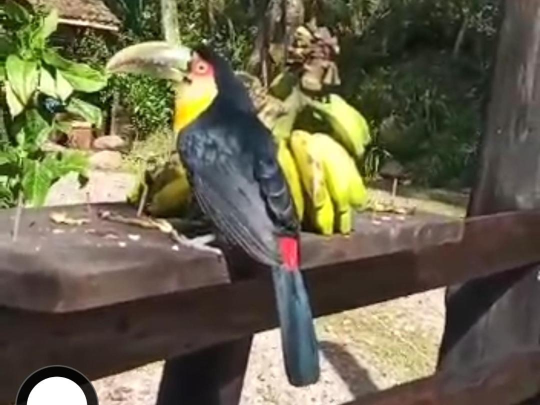 Chale Espelhado No Itaimbezinho Villa Praia Grande  Ngoại thất bức ảnh